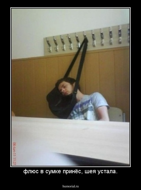 флюс в сумке принёс, шея устала.