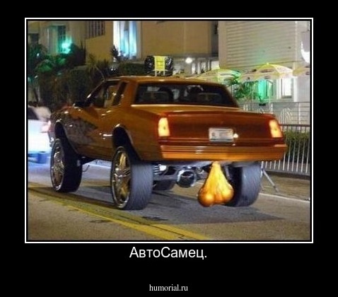 АвтоСамец.