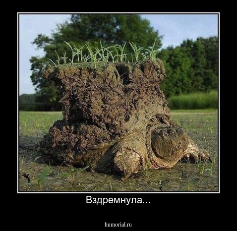 Вздремнула...