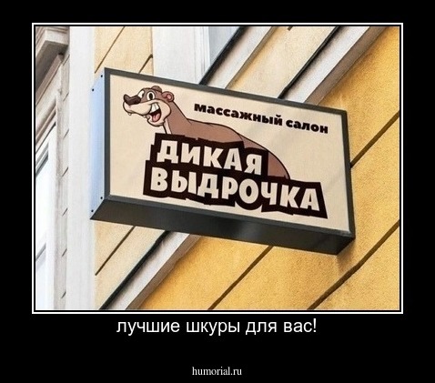 лучшие шкуры для вас!