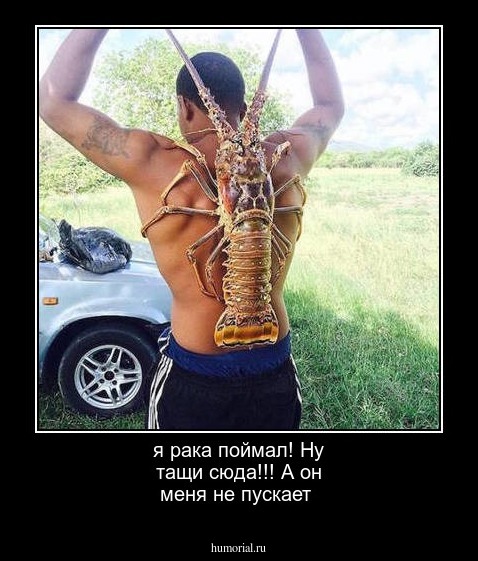 я рака поймал! Ну тащи сюда!!! А он меня не пускает