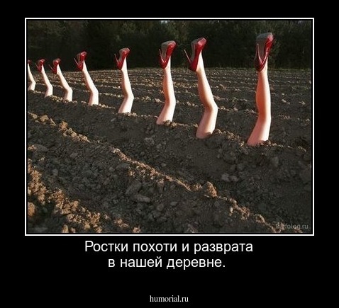 Ростки похоти и разврата в нашей деревне.