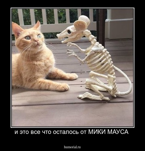 и это все что осталось от МИКИ МАУСА 