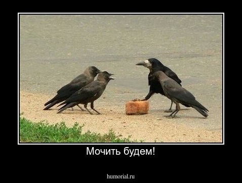 Мочить будем!