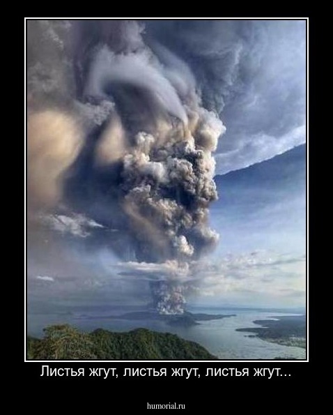Листья жгут, листья жгут, листья жгут...