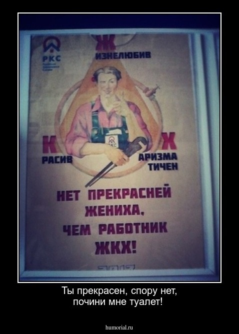 Ты прекрасен, спору нет, почини мне туалет! 