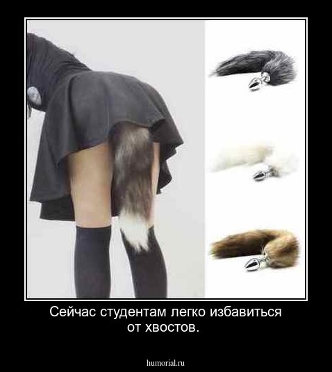 Сейчас студентам легко избавиться от хвостов.