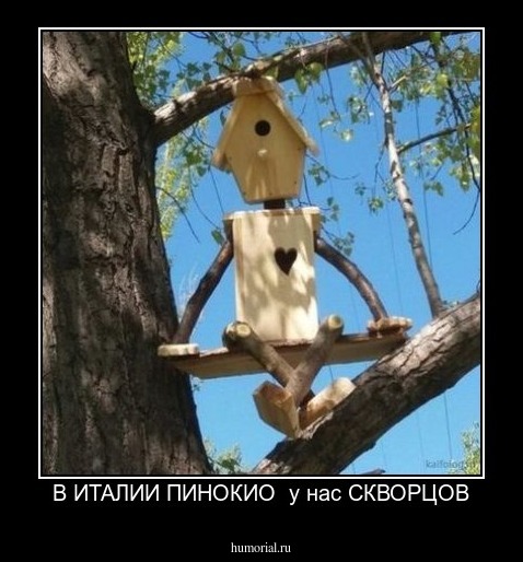 В ИТАЛИИ ПИНОКИО  у нас СКВОРЦОВ