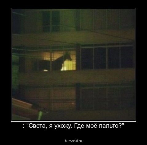: "Света, я ухожу. Где моё пальто?"
