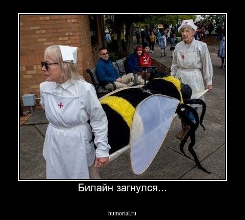 Билайн загнулся...
