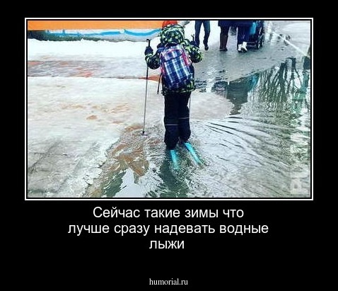 Сейчас такие зимы что лучше сразу надевать водные лыжи