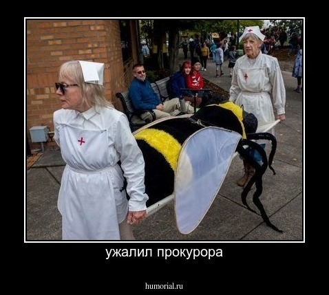 ужалил прокурора
