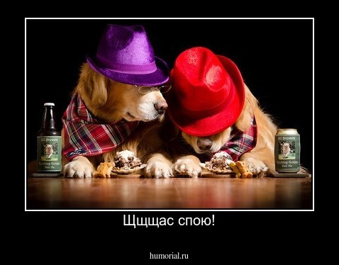 Щщщас спою!
