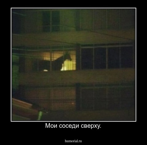 Мои соседи сверху.