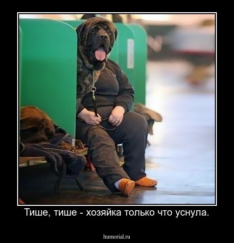 Тише, тише - хозяйка только что уснула.