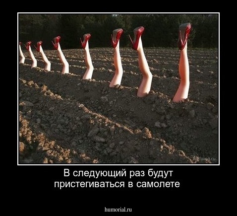 В следующий раз будут пристегиваться в самолете 
