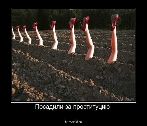Посадили за проституцию 