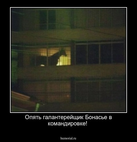 Опять галантерейщик Бонасье в командировке!