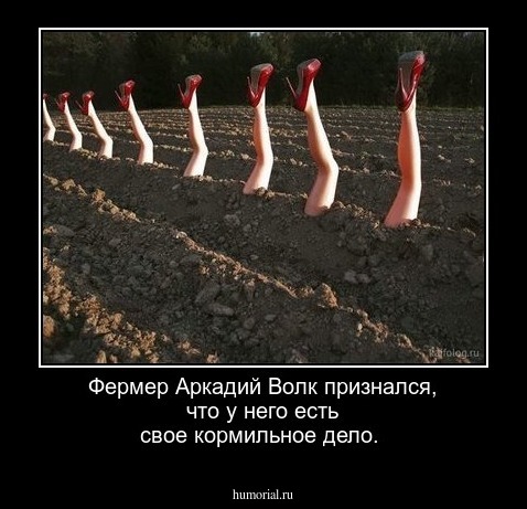 Фермер Аркадий Волк признался, что у него  есть свое кормильное дело.