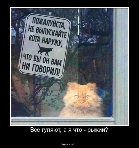 Все гуляют, а я что - рыжий?