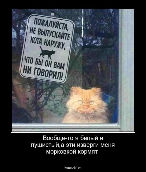 Вообще-то я белый и пушистый,а эти изверги меня морковкой кормят