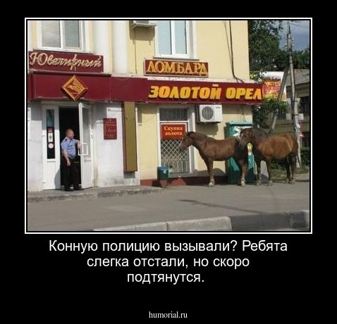 Конную полицию вызывали? Ребята слегка отстали, но скоро подтянутся. 