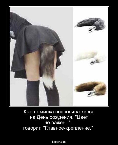 Как-то милка попросила хвост на День рождения. "Цвет не важен. " - говорит, "Главное-крепление." 