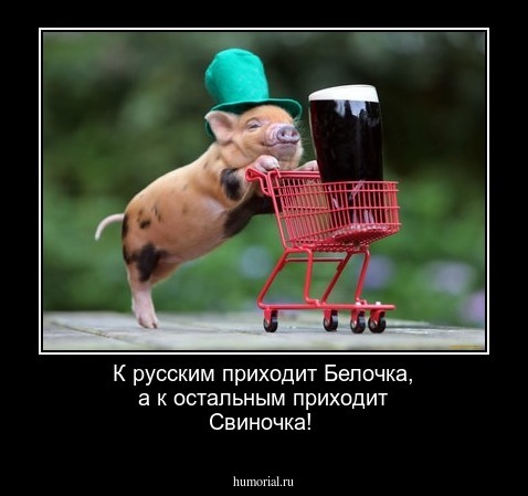 К русским приходит Белочка, а к остальным приходит Свиночка!