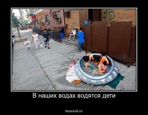 В наших водах водятся дети