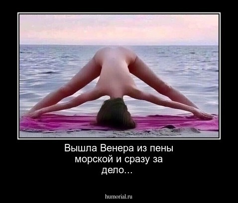 Вышла Венера из пены морской и сразу за дело...