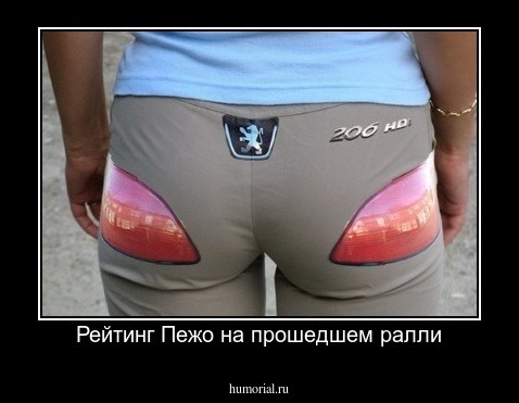 Рейтинг Пежо на прошедшем ралли