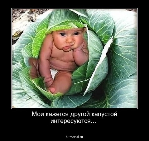 Мои кажется другой капустой интересуются...