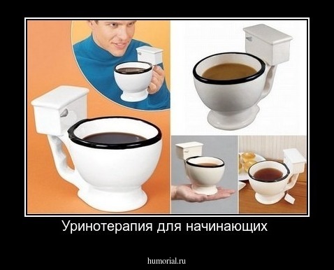 Уринотерапия для начинающих 