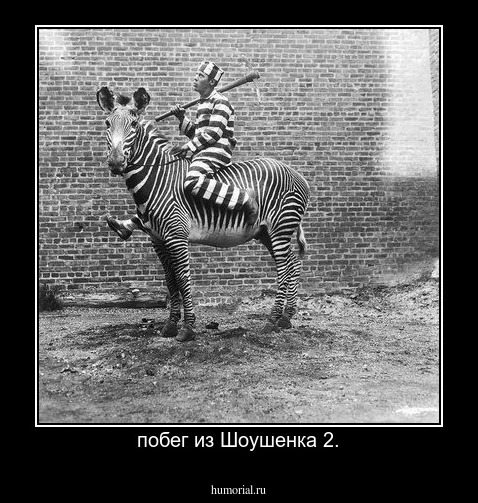 побег из Шоушенка 2.