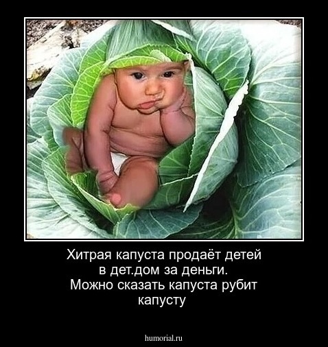 Хитрая капуста продаёт детей в дет.дом за деньги. Можно сказать капуста рубит капусту