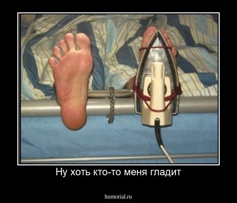 Ну хоть кто-то меня гладит