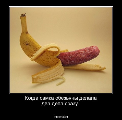 Когда самка обезьяны делала два дела сразу.