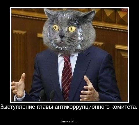 Выступление главы антикоррупционного комитета.