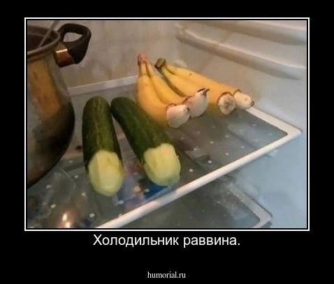Холодильник раввина.