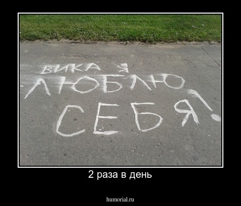 2 раза в день