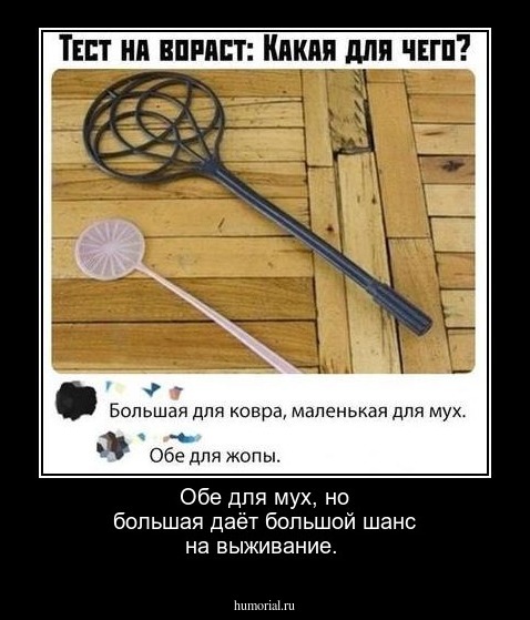Обе для мух, но большая даёт большой шанс на выживание.