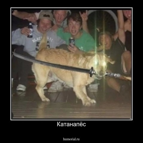 Катанапёс