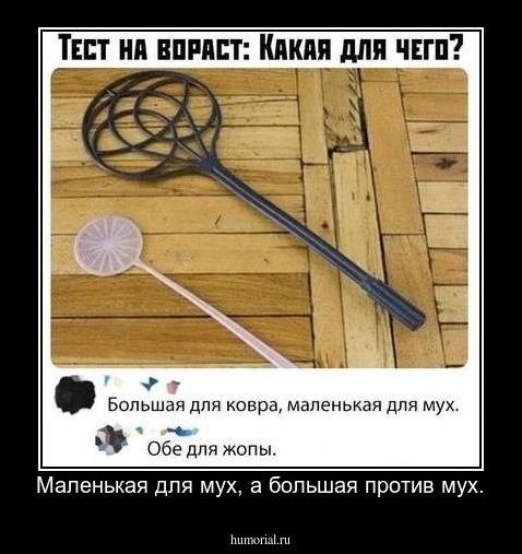 Маленькая для мух, а большая против мух.