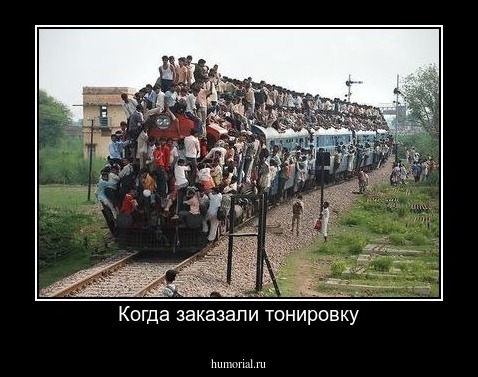 Когда заказали тонировку