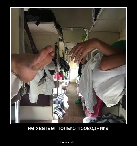 не хватает только проводника