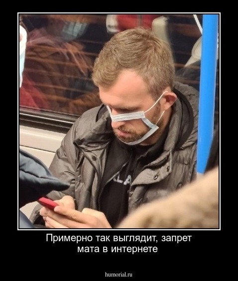 Примерно так выглядит, запрет мата в интернете
