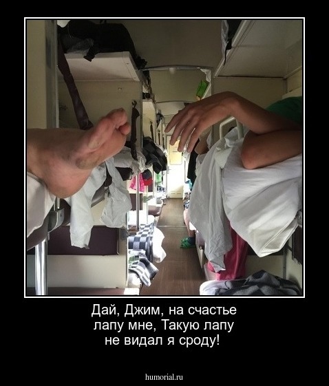 Дай, Джим, на счастье лапу мне,
Такую лапу не видал я сроду!