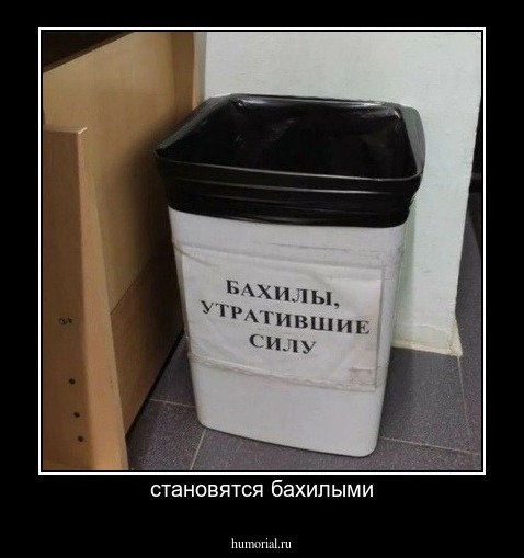 становятся бахилыми