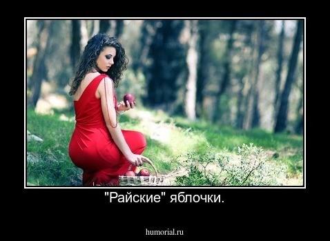  "Райские" яблочки.