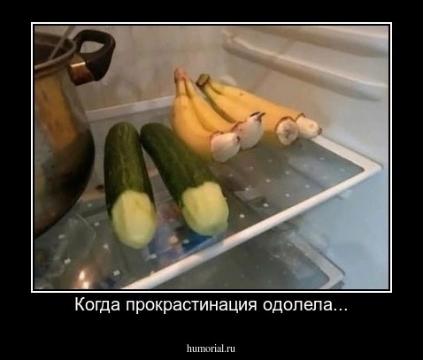 Когда прокрастинация одолела...